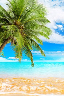 Tropik ada cenneti plaj doğası, mavi deniz dalgası, okyanus suyu, yeşil hindistan cevizi palmiye yaprakları, sarı kum, güneşli gökyüzü beyaz bulutlar, güzel Karayip manzarası, yaz tatili, tatil, seyahat