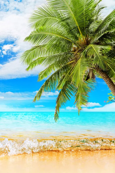 Tropisk Paradis Strand Natur Blå Havet Våg Hav Vatten Grön — Stockfoto