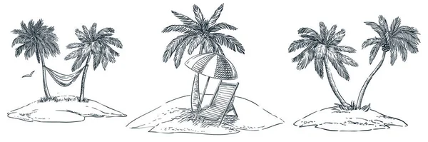 Iles Tropicales Avec Palmiers Hamac Parasol Chaise Longue Croquis Vectoriel — Image vectorielle