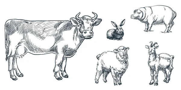 农场畜禽集 病媒示意图 牲畜手绘设计元素 兔子图标 — 图库矢量图片