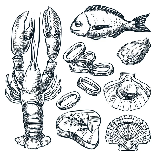 Fruits Mer Poisson Cru Frais Ensemble Illustration Croquis Vectoriels Dessinés — Image vectorielle