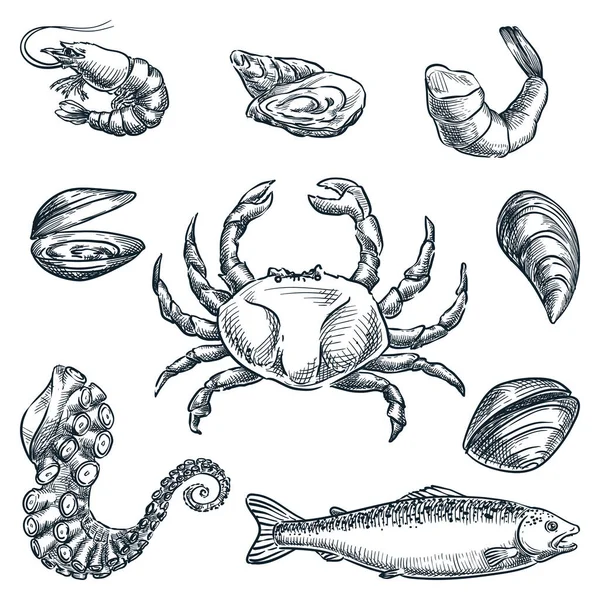 Seafood and fresh raw fish set. Hand drawn vector sketch illustration. Crab, octopus tentacle, shells, mussels, shrimp icons isolated on white background. Sea food restaurant market design elements