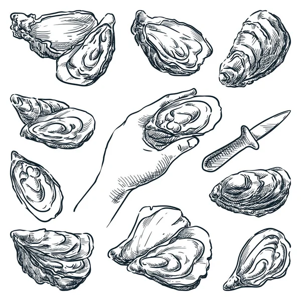 牡蛎在白色背景上被隔离 牡蛎刀和手牵着开的贻贝 手绘矢量草图 餐厅菜单或海鲜市场设计元素 — 图库矢量图片