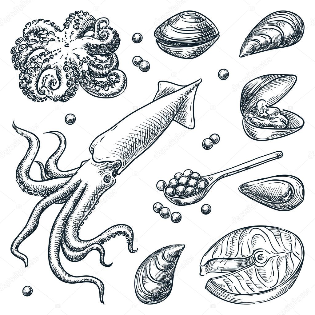 Fresh seafood set. Hand drawn vector sketch illustration. Squid, octopus, shells, mussels, oysters, red caviar icons isolated on white background. Sea food restaurant or market design elements