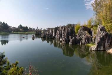 Şubat 2019, Kunming, Yunnan Taş Ormanı Jeoloji Parkı, Shilin County. Kunming Taş Ormanı, Çince Shilin, muhteşem bir kireçtaşı grubudur ve karst 'ın temsilcisidir.