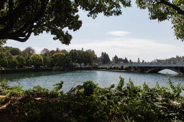 Şubat 2019, Kunming, Yunnan Taş Ormanı Jeoloji Parkı, Shilin County. Kunming Taş Ormanı, Çince Shilin, muhteşem bir kireçtaşı grubudur ve karst 'ın temsilcisidir.