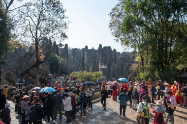Şubat 2019, Kunming, Yunnan Taş Ormanı Jeoloji Parkı, Shilin County. Kunming Taş Ormanı, Çince Shilin, muhteşem bir kireçtaşı grubudur ve karst 'ın temsilcisidir.