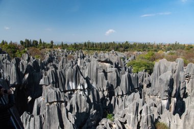 Şubat 2019, Kunming, Yunnan Taş Ormanı Jeoloji Parkı, Shilin County. Kunming Taş Ormanı, Çince Shilin, muhteşem bir kireçtaşı grubudur ve karst 'ın temsilcisidir.