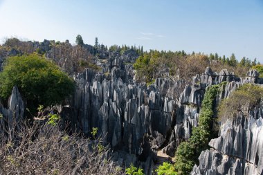 Şubat 2019, Kunming, Yunnan Taş Ormanı Jeoloji Parkı, Shilin County. Kunming Taş Ormanı, Çince Shilin, muhteşem bir kireçtaşı grubudur ve karst 'ın temsilcisidir.