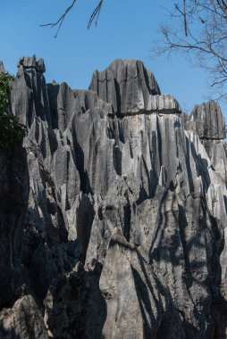Şubat 2019, Kuniming, Yunnan Taş Ormanı Jeoloji Parkı, Shilin County. Kunming Taş Ormanı, Çince Shilin, muhteşem bir kireçtaşı grubudur ve karst 'ın temsilcisidir.