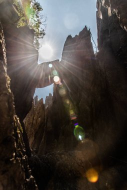 Şubat 2019, Kunming, Yunnan Taş Ormanı Jeoloji Parkı, Shilin County. Kunming Taş Ormanı, Çince Shilin, muhteşem bir kireçtaşı grubudur ve karst 'ın temsilcisidir.