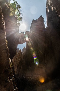 Şubat 2019, Kunming, Yunnan Taş Ormanı Jeoloji Parkı, Shilin County. Kunming Taş Ormanı, Çince Shilin, muhteşem bir kireçtaşı grubudur ve karst 'ın temsilcisidir.