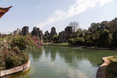 Şubat 2019, Kunming, Yunnan Taş Ormanı Jeoloji Parkı, Shilin County. Kunming Taş Ormanı, Çince Shilin, muhteşem bir kireçtaşı grubudur ve karst 'ın temsilcisidir.