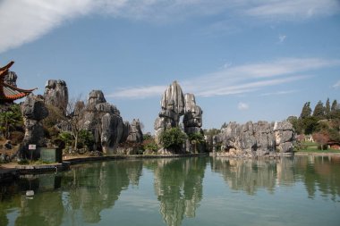 Şubat 2019, Kunming, Yunnan Taş Ormanı Jeoloji Parkı, Shilin County. Kunming Taş Ormanı, Çince Shilin, muhteşem bir kireçtaşı grubudur ve karst 'ın temsilcisidir.
