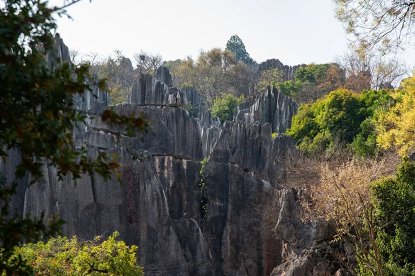 Şubat 2019, Kunming, Yunnan Taş Ormanı Jeoloji Parkı, Shilin County. Kunming Taş Ormanı, Çince Shilin, muhteşem bir kireçtaşı grubudur ve karst 'ın temsilcisidir.