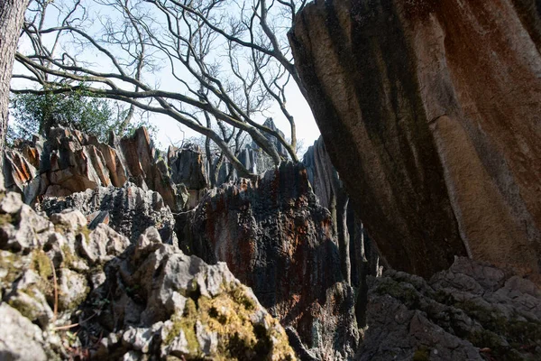 Fevereiro 2019 Kunming Yunnan Stone Forest Geological Park Condado Shilin — Fotografia de Stock