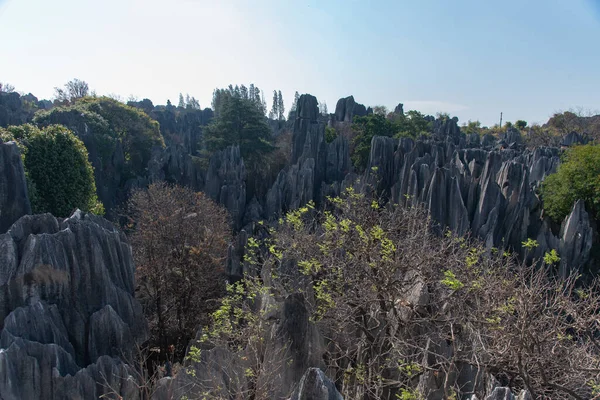 Şubat 2019, Kunming, Yunnan Taş Ormanı Jeoloji Parkı, Shilin County. Kunming Taş Ormanı, Çince Shilin, muhteşem bir kireçtaşı grubudur ve karst 'ın temsilcisidir.
