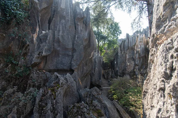 Février 2019 Kunming Yunnan Stone Forest Geological Park Comté Shilin — Photo