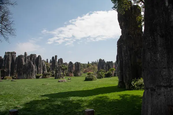 Février 2019 Kunming Yunnan Stone Forest Geological Park Comté Shilin — Photo