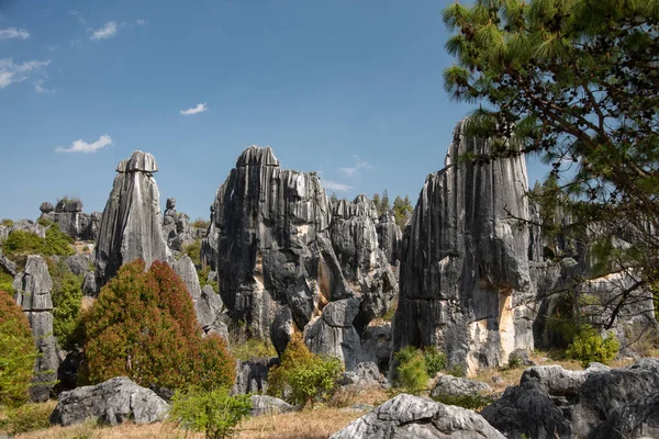 Şubat 2019, Kunming, Yunnan Taş Ormanı Jeoloji Parkı, Shilin County. Kunming Taş Ormanı, Çince Shilin, muhteşem bir kireçtaşı grubudur ve karst 'ın temsilcisidir.