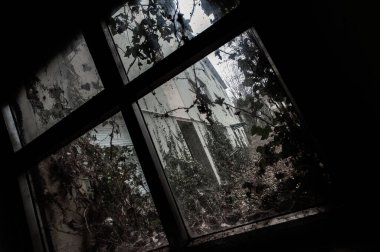 Şubat 2022, Kuzey İtalya 'da terk edilmiş sığınma.