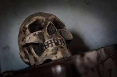 Kasım 2021, Urbex İtalya, ürkütücü korkunç kafatası, pencere eşiğinde terk edilmiş.