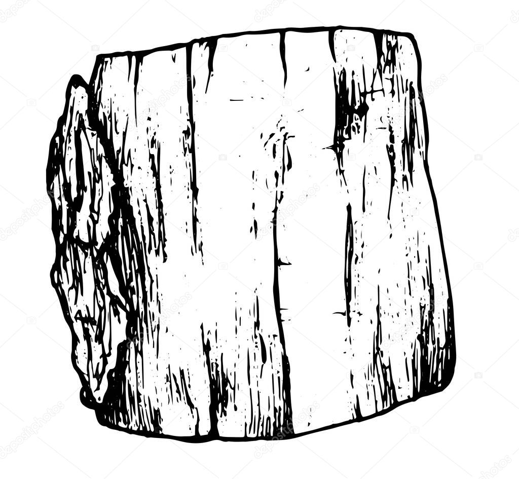 A sketch of a sawn tree. The STUMP of a hand-drawn tree with a bark texture in a realistic style. sawn wood side view kara black outline on white background isolated element for your design template. Sketch stump in hand drawn style. Background vecto