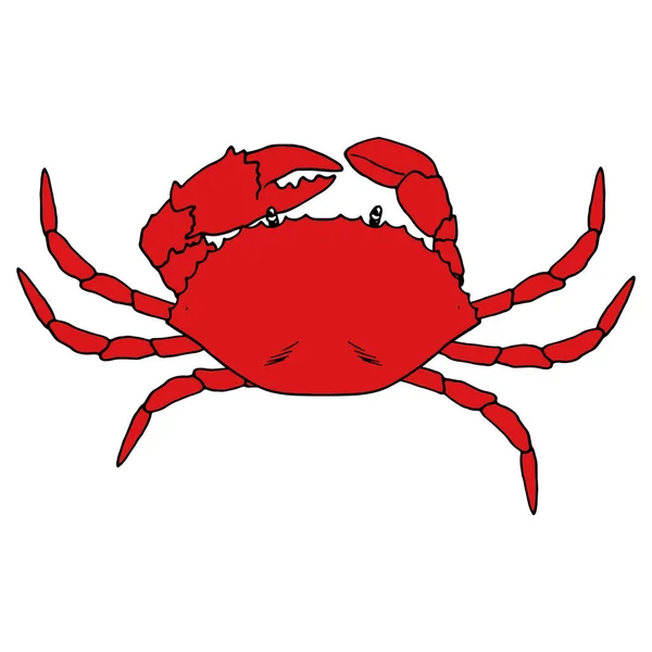 Caranguejo vermelho. desenho de um animal marinho, um caranguejo inteiro em vermelho com um contorno preto, desenhado em estilo esboço, vista superior, em um fundo branco para um modelo de design —  Vetores de Stock