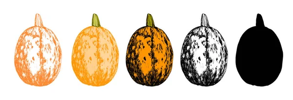 Calabaza Naranja Ovalada Dibujado Estilo Boceto Toda Calabaza Color Naranja — Vector de stock