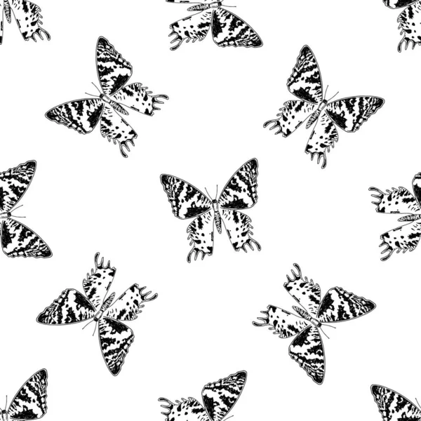 El patrón de mariposa es gráfico. dibujo sin costura de un boceto de mariposa dibujado a mano, vista superior con puntos y manchas, contorno negro aislado, al azar y a menudo se encuentra en blanco — Vector de stock