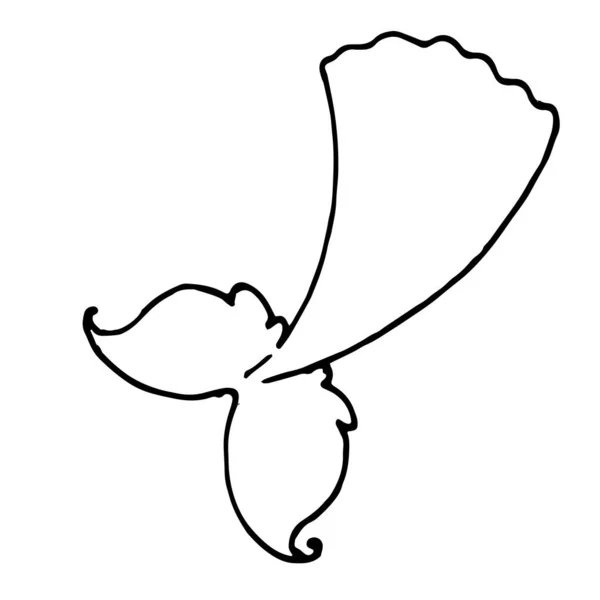 Sjöjungfrustjärtar Handritade Doodle Stil Sjöjungfru Svans Med Isolerad Svart Linje — Stock vektor