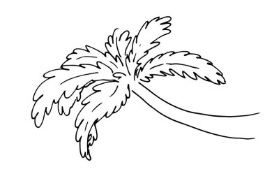 Palmiye ağacı çizimi. Kavisli bir palmiye ağacının karalama stiliyle çizilmiş, beyaz bir zemin üzerinde izole edilmiş siyah çizgiler, şalon yaz tasarımı için. Klasik eskiz. Tropik tatil. Yaz tropik yaprakları. Vektör çizimi el çizimi. Vektör III