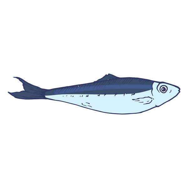 Sardine Bleue Esquisse Dessinée Main Sprat Petit Poisson Mer Bleu — Image vectorielle