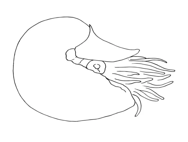 Dibujo Sepia Animal Marino Sepia Dibujado Estilo Boceto Vista Lateral — Vector de stock