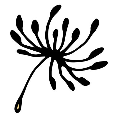 Vektör karahindiba tohumları. Bir tasarım şablonu için beyaz üzerine siyah çizgili el yapımı yumuşacık karahindiba tohumu.