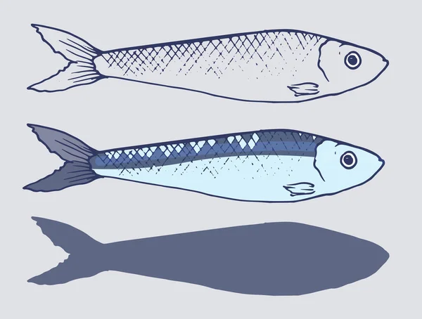 Набір Векторних Спринтерів Пофарбована Дрібна Крапля Риби Різних Варіаціях Ескізу — стоковий вектор