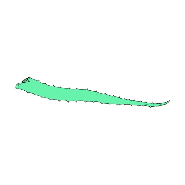 Vecteur Une Feuille Verte Écarlate Élément Une Couleur Turquoise Écarlate — Image vectorielle