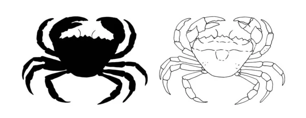 Schets Silhouet Van Een Krab Tekening Van Een Zeedier Een — Stockvector