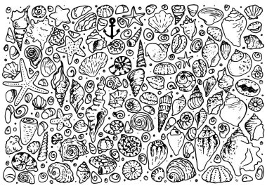 VectorA karalama seti, denizyıldızı ve deniz kestanesi kabukları. Doodle tarzı deniz kabuk taşlarından oluşan geniş bir koleksiyon. Yaz tasarımı için beyaz üzerine izole edilmiş siyah çizgiler.