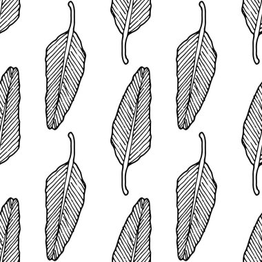 Tropik bir yaprağın desenini yönlendir. Kalın bir gövde üzerinde damarları olan, uzun ve pürüzsüz bir palmiye yaprağı deseni, beyaza çizilmiş bir taslak gibi elle çizilmiş. Tasarım şablonu için siyah bir bitki yaprağının ana hatları