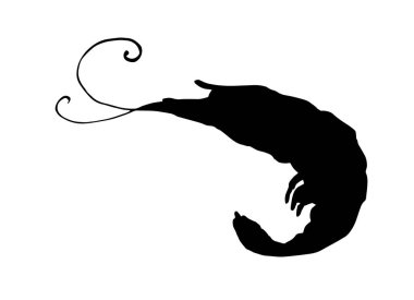 Bir karidesin siluetini yönlendir. Siyah siluetle izole edilmiş, kıvrımlı siyah bıyıklı deniz kabuklu karides tasarım şablonu için beyaz üzerine yan görünüm