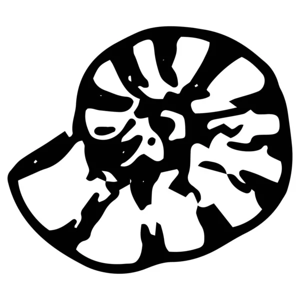 Icono de concha de rayas redondas. una vista lateral de concha de mar estilo garabato, forma de espiral redonda con rayas, y un contorno negro pulido en blanco — Vector de stock