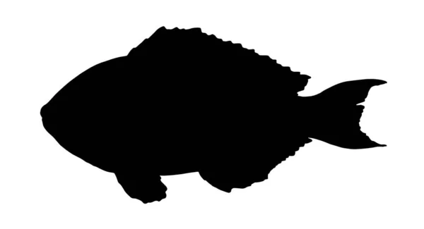 Scorfano Parrotfish Sketch Pesce Mare Retail Parrotfish Silhouette Pesce Mare — Vettoriale Stock