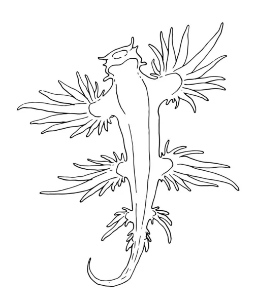 Vector Glaucus Atlanticus Sea Animal Sketch Style Hand Drawn Underwater — 图库矢量图片