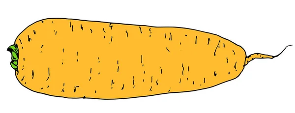 黄色背景的卡通 古老的印刷版本 向量橙色胡萝卜 蔬菜食品设计模板用孤立的矢量胡萝卜黄 手绘素描风格 — 图库矢量图片