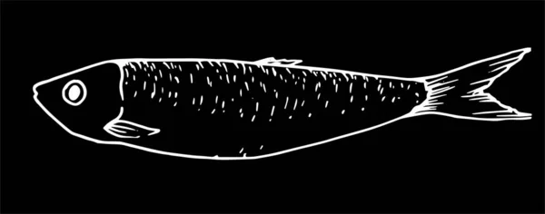 Vektor Sardinen Symbol Die Grafiken Eines Stilisierten Sprattenfisches Von Kleiner — Stockvektor