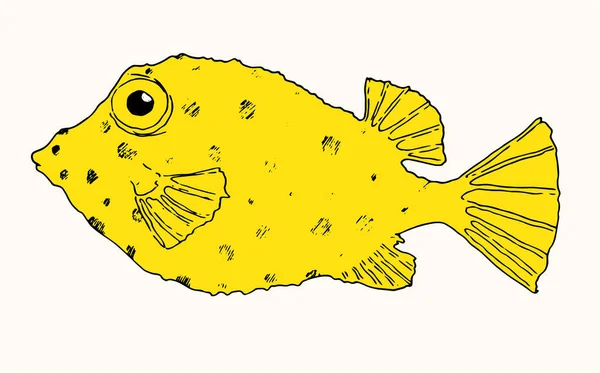 黄色の魚のイラストです 体は熱帯水族館の魚のキューブで スポットは光の上に黒い線で手描きされています メニューデザインテンプレート ラベル 看板のための隔離された海魚のスケッチ要素 手描きイラスト Vector Illustr — ストックベクタ