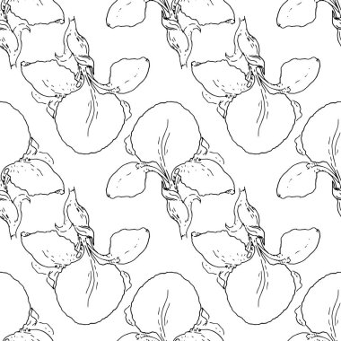 Eskimiş dikdörtgen çiçek deseni, tasarım çizimi için genellikle beyaz üzerine çizim stili siyah hatlar çizilir.