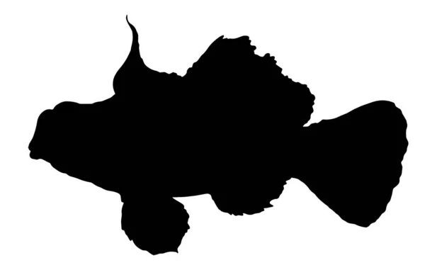 싱 키로푸스 비장은 검은 실루엣이야. 열대어의 측면에서는 지느러미와 꼬리가 뻗어 있다. 디자인 템플릿을 위한 Synchiropus spacedidus sea fish 스타일의 수작업 스케치 — 스톡 벡터