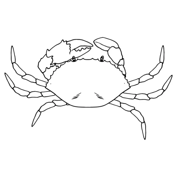 Vector Linear Black Crab Top View Sea Crab Claws Marine — Stock Vector